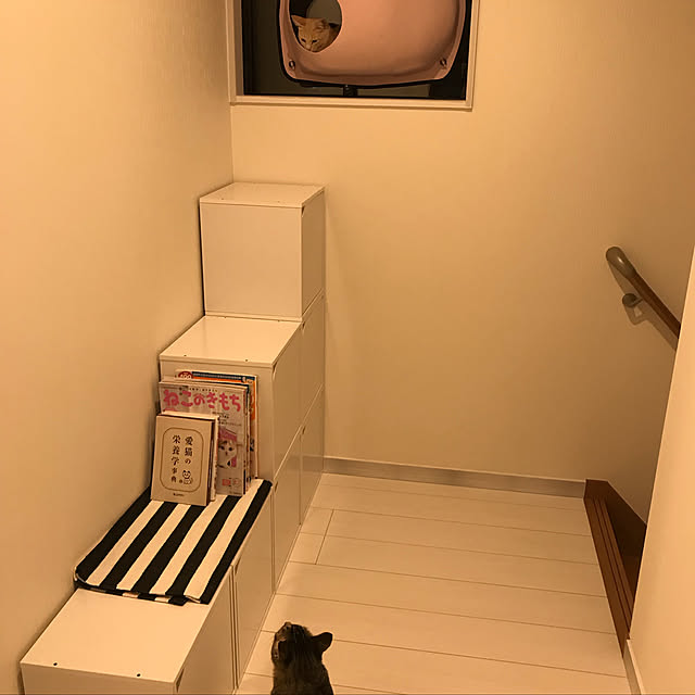 meguuu.さんの実例写真
