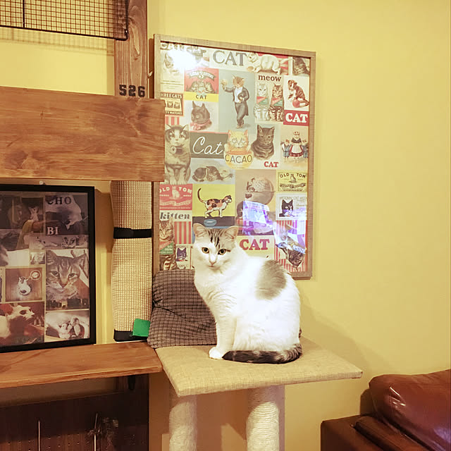 Miechamさんの実例写真