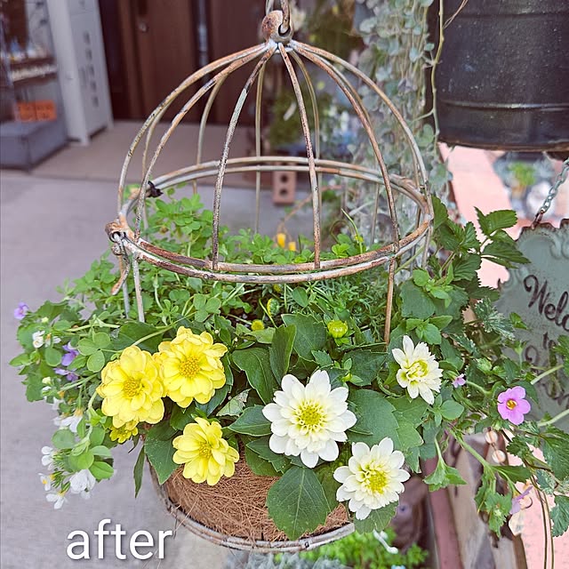 mocomocoさんの実例写真