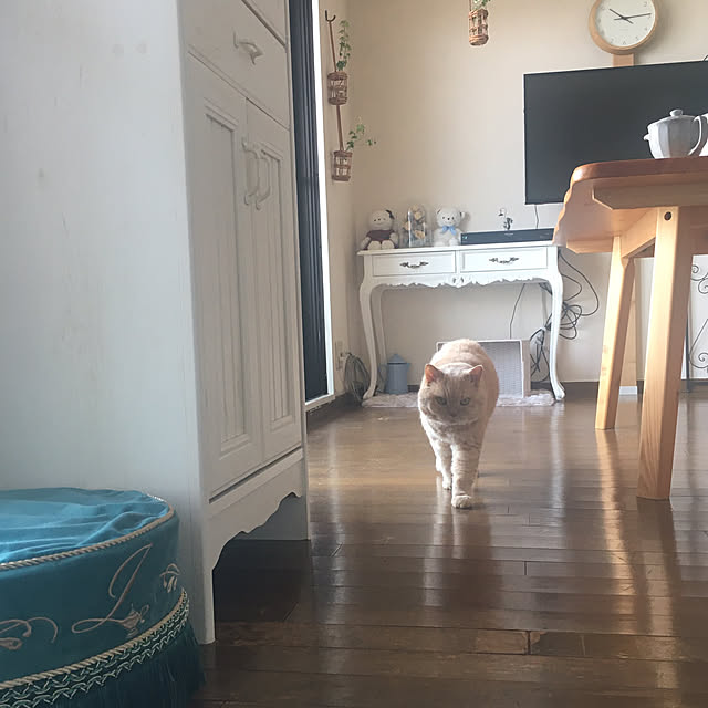 naokoさんの部屋