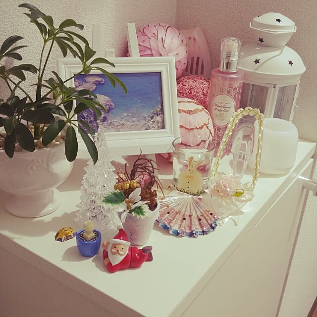 Mariさんの実例写真