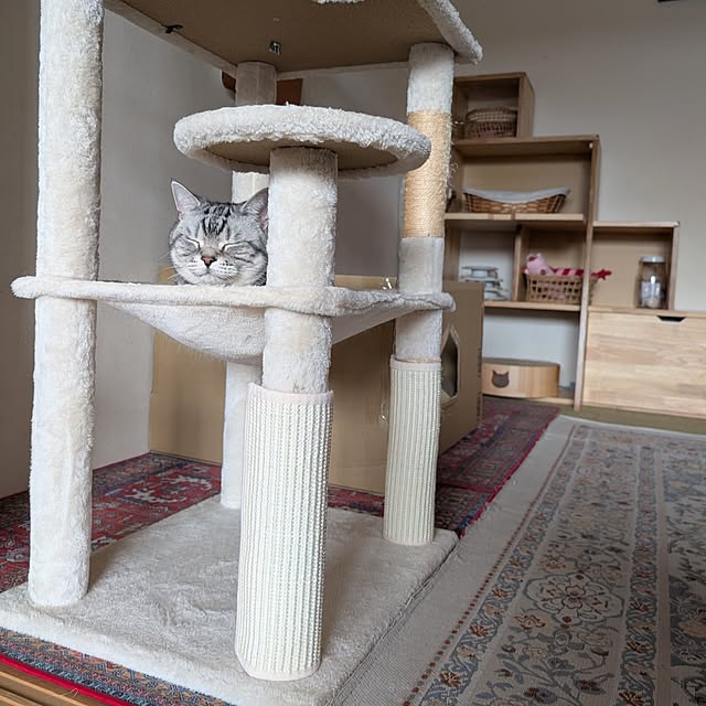 lovepeaceさんの実例写真