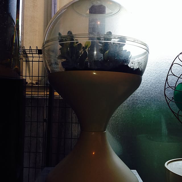 wagenbug10220418さんの実例写真