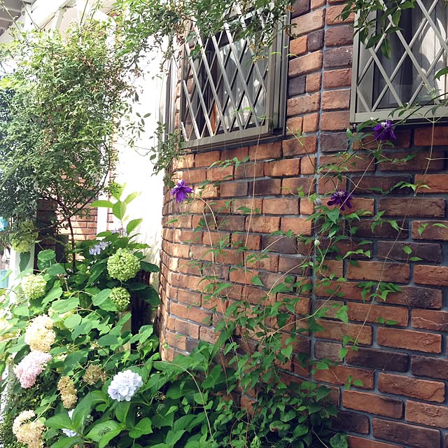 Ri-pochaさんの実例写真