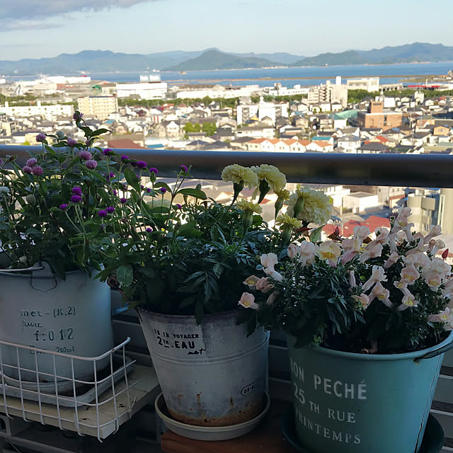 kuluchan.anchanさんの実例写真