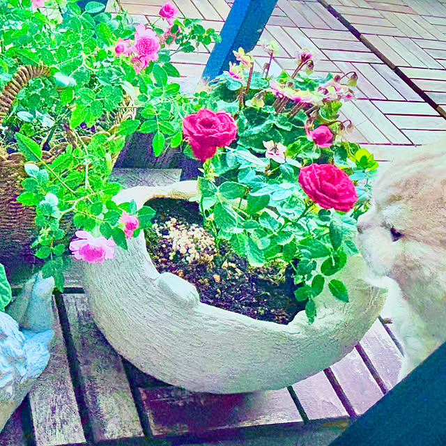 naokoさんの部屋