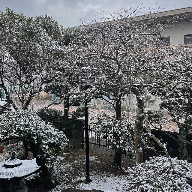 shin0719さんの部屋