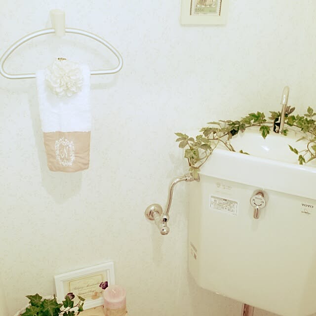 cottonさんの実例写真