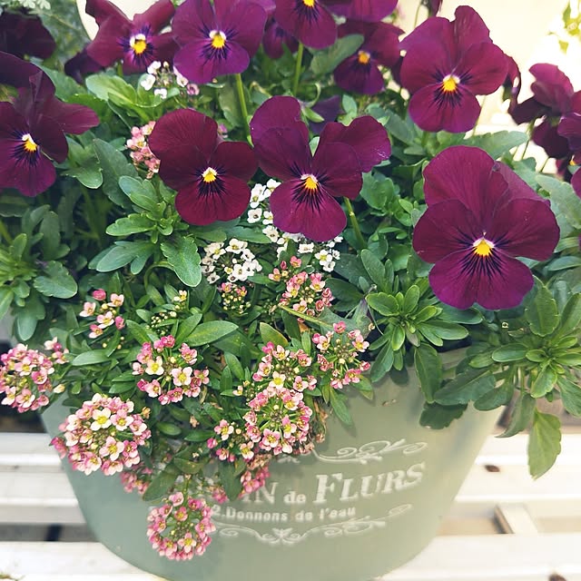 katさんの実例写真