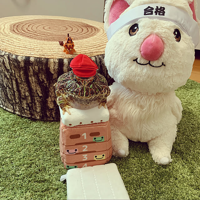 Megumiさんの実例写真