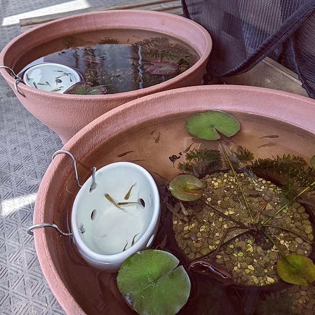 mi-saさんの部屋