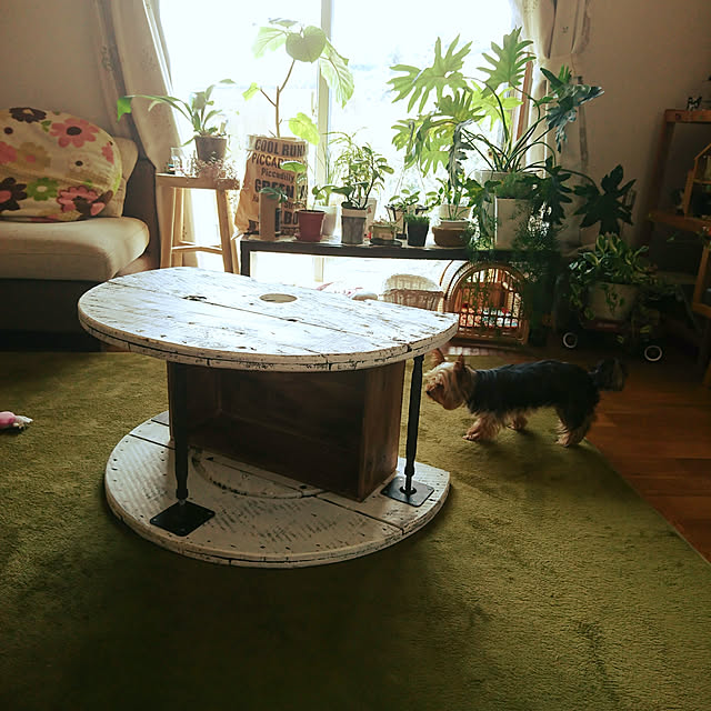 akiさんの実例写真