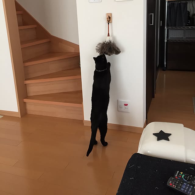 yuki0511さんの実例写真