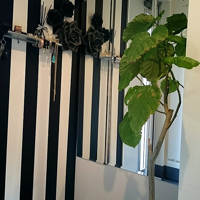 tomatoさんの実例写真