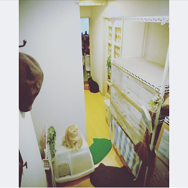 mntcさんの実例写真