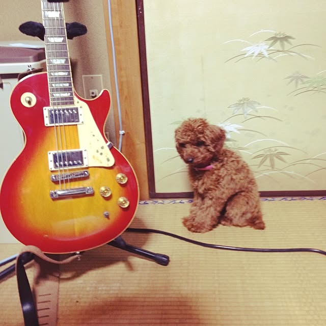 Michaelさんの実例写真