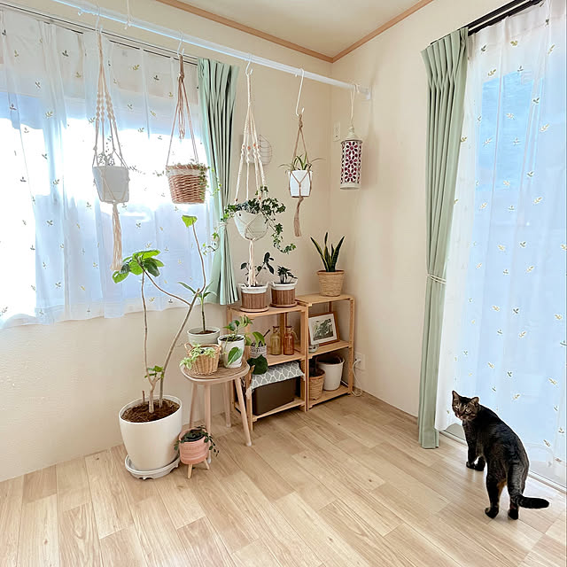 RAKI_Homeさんの実例写真