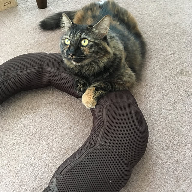 mikomaruさんの実例写真