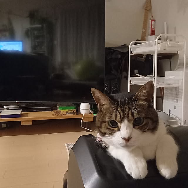 civicglさんの実例写真