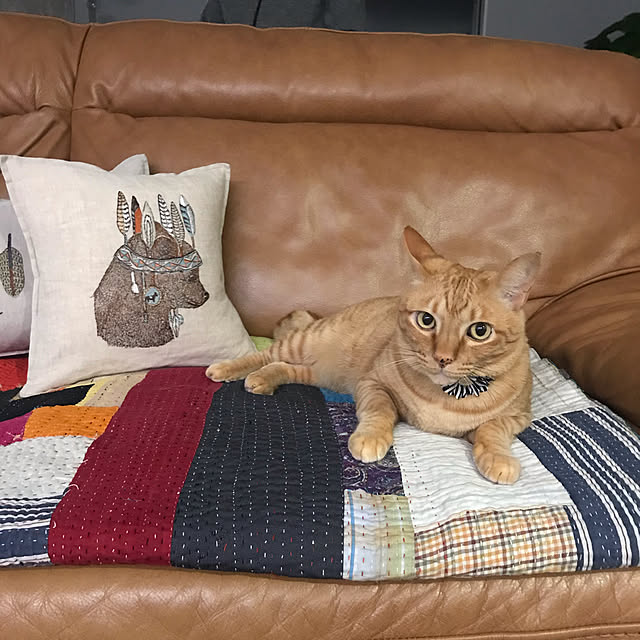 mtkさんの実例写真