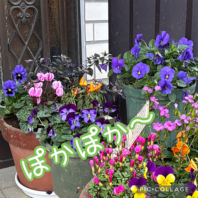 Smilkazuさんの実例写真