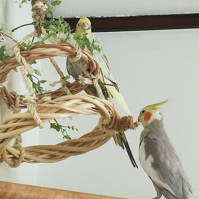 amanojakuさんの実例写真