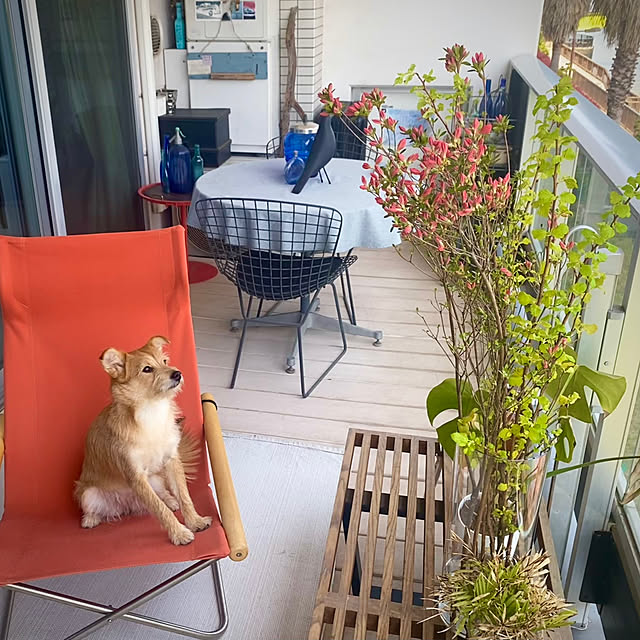 Yoheiさんの実例写真