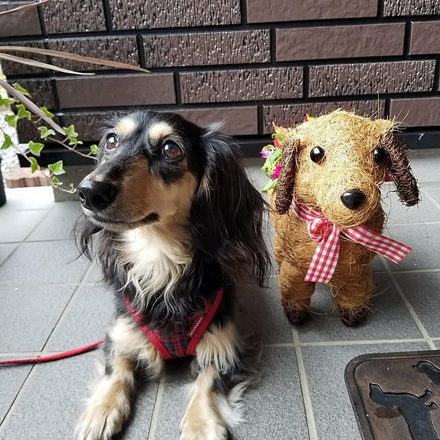 momozouさんの実例写真