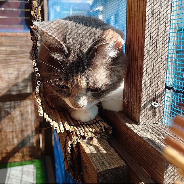 fukuさんの部屋