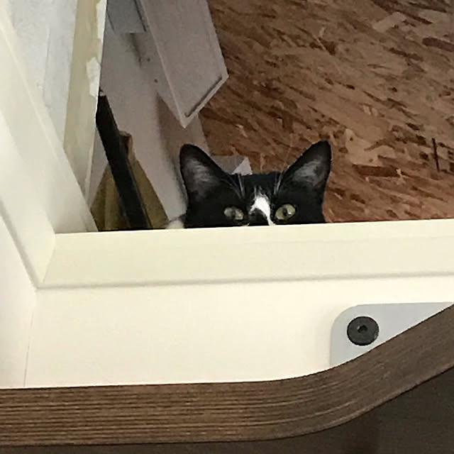 akuakuさんの実例写真