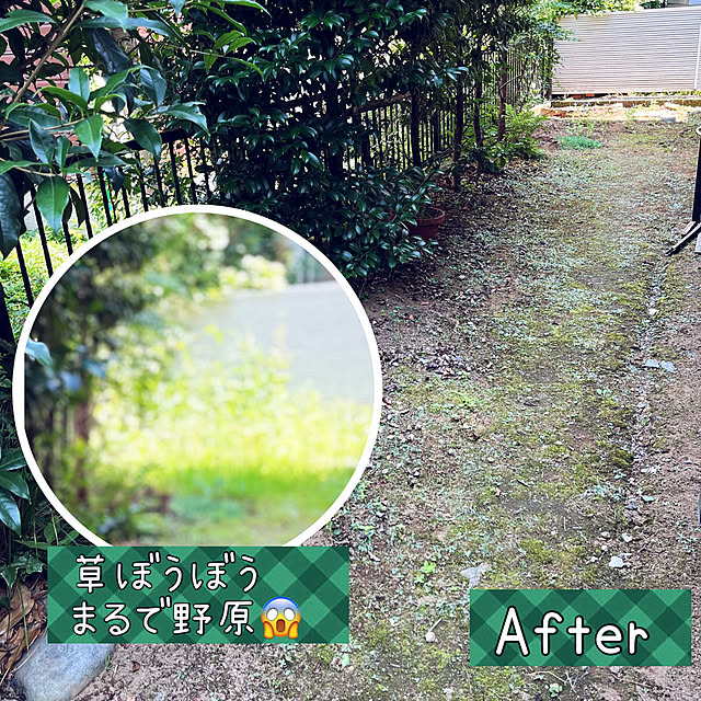 NAOさんの実例写真