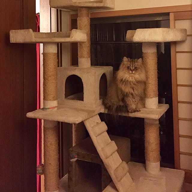 butachanさんの実例写真