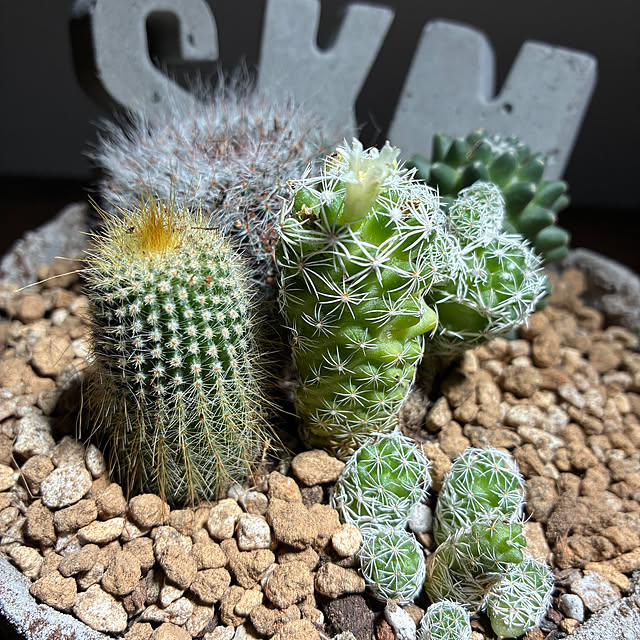 mkk8739hanasakuさんの部屋