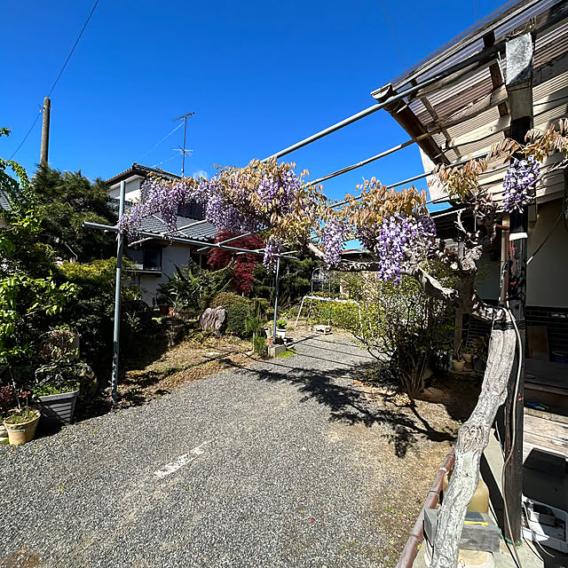 okadajapanさんの部屋
