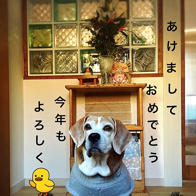 golden.runner.mamaさんの実例写真