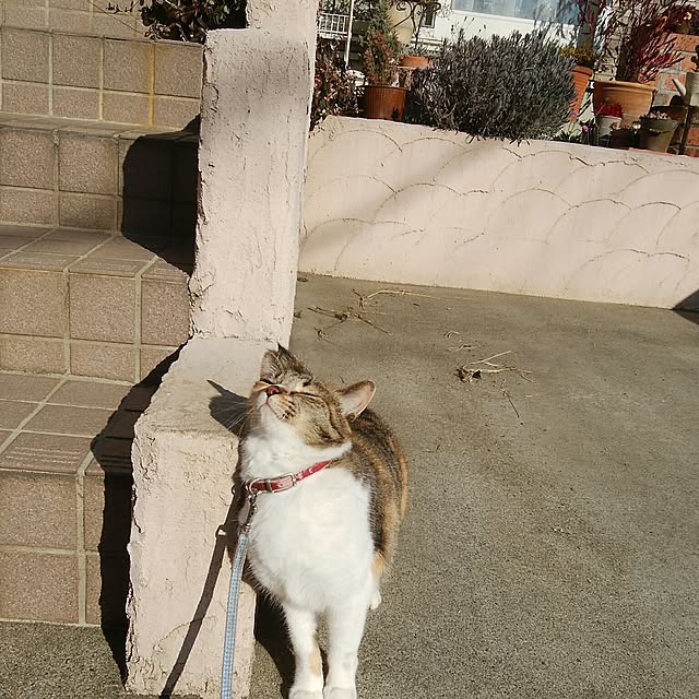 tomo1220さんの実例写真