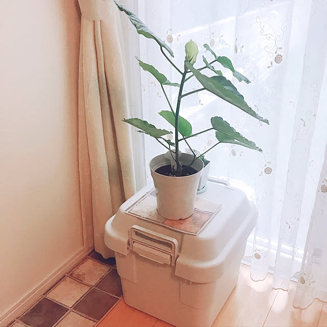 rizumu4649さんの実例写真