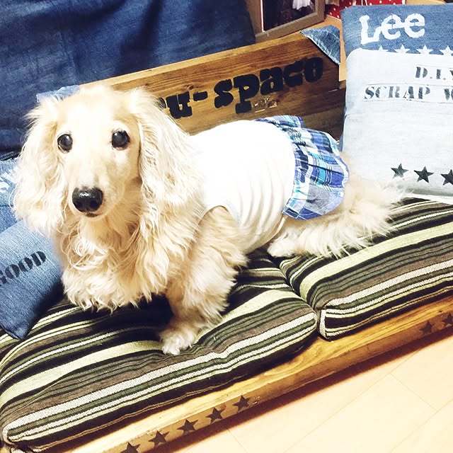 etsuさんの実例写真