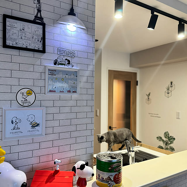 snoopyさんの実例写真