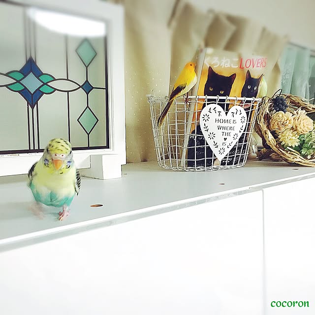cocoronさんの実例写真