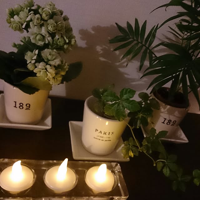 gon_mikiさんの実例写真