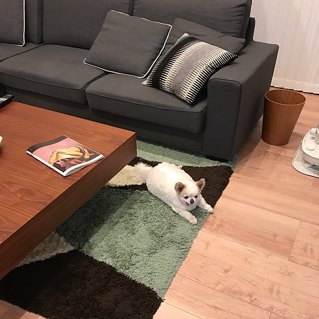 kunさんの実例写真