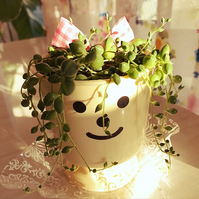 emryuさんの実例写真