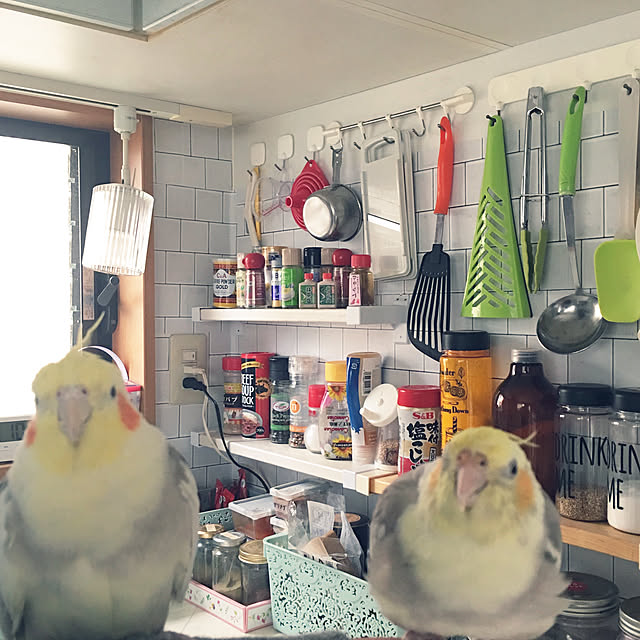 puriyuzuさんの実例写真