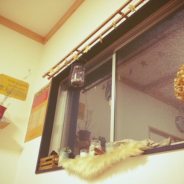 miyさんの実例写真