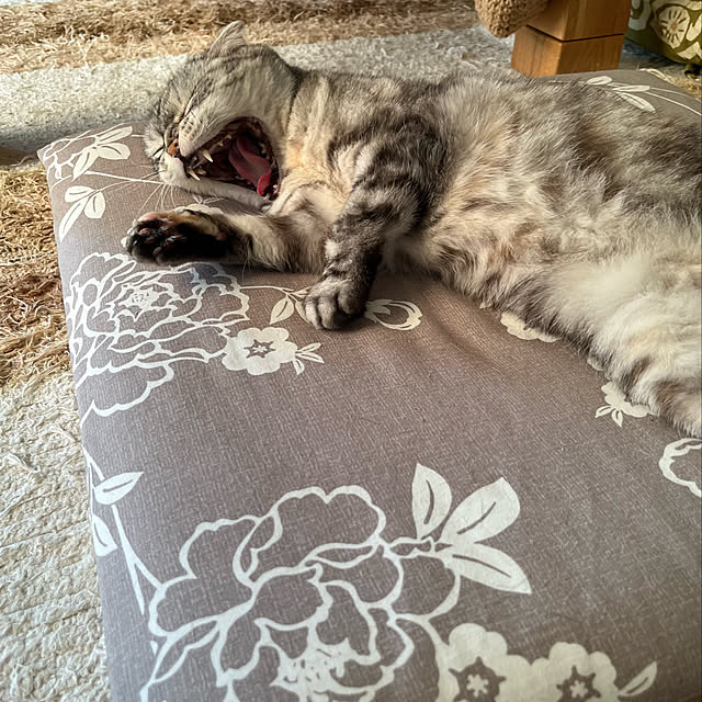 kuuさんの実例写真