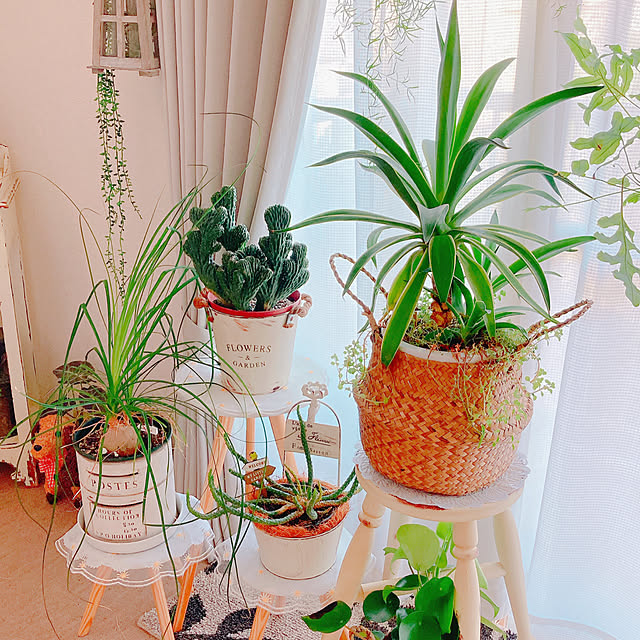 Hanakaさんの部屋