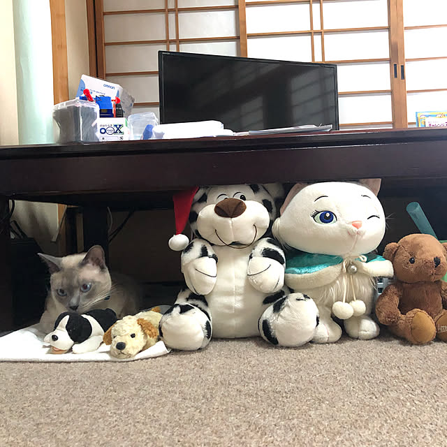 m_takiさんの実例写真