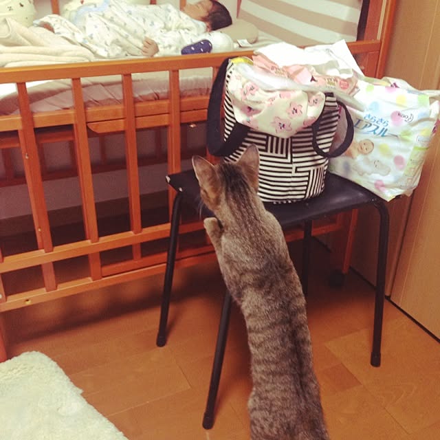 mayruさんの実例写真