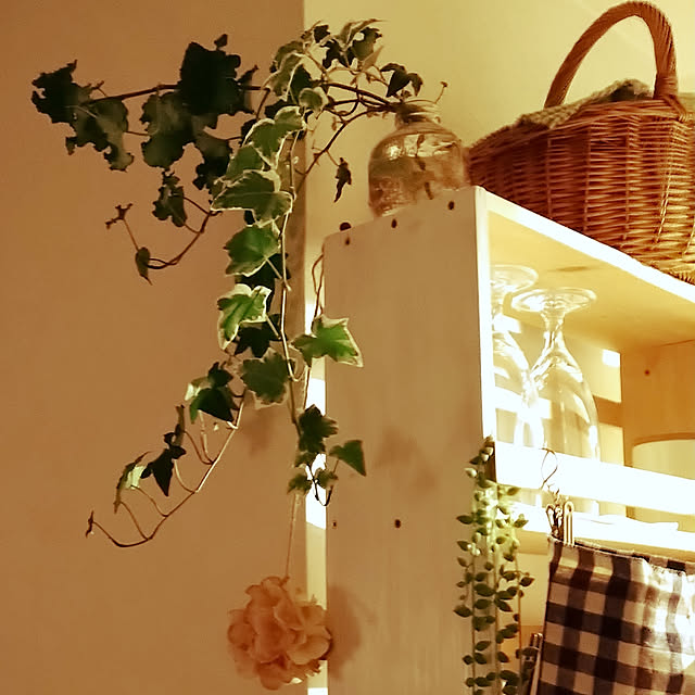 キッチン/観葉植物/ナチュラル/DIY/ハンドメイド...などのインテリア実例 - 2020-07-03 22:50:06